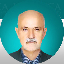 پروفسور سیدمهدی رضوی روحانی