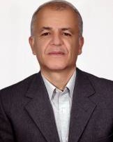 محمد مهدی برادرانی