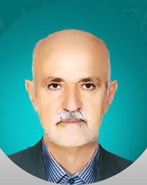 پروفسور سیدمهدی رضوی روحانی