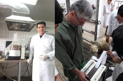 اسلاید 2 - گروه بیماریهای درونی و کلینیکال پاتولوژی