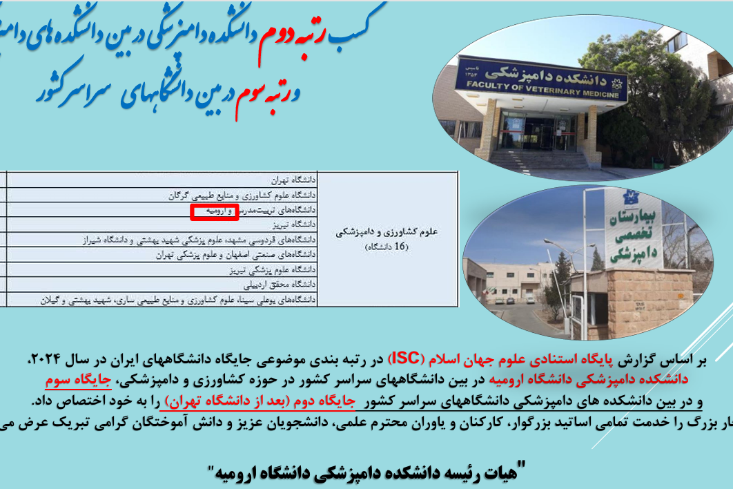 رتبه دوم