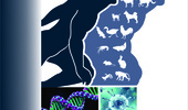 فراخوان ارسال مقاله نشریه علمی Journal of Zoonotic Diseases (JZD)