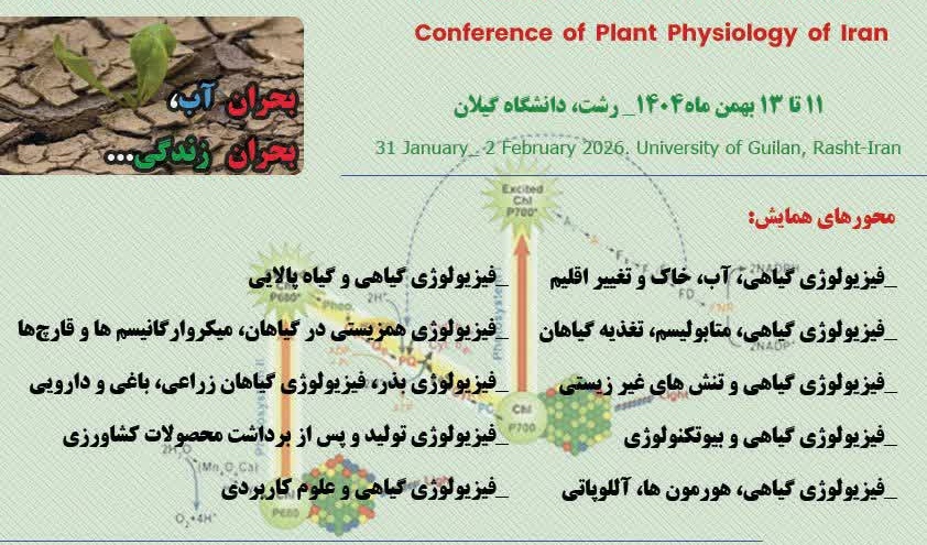 همایش