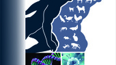 فراخوان ارسال مقاله نشریه علمی Journal of Zoonotic Diseases (JZD)