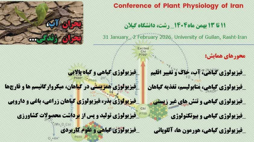 همایش